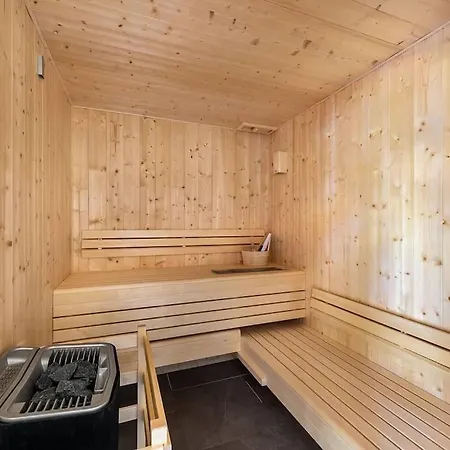 Black Diamond - - Bo Immobilier- Reduced Prices On Passes & Portes Du Soleil *