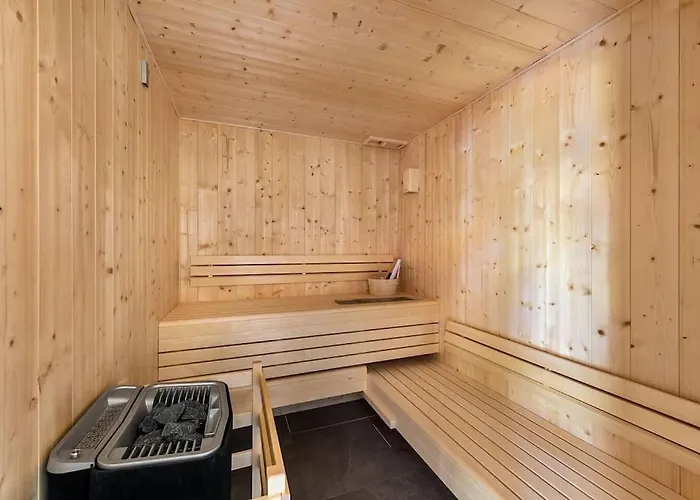 Black Diamond - - Bo Immobilier- Reduced Prices On Passes & Portes Du Soleil *
