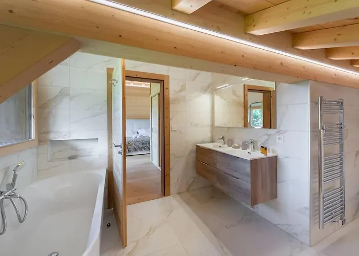 Black Diamond - - Bo Immobilier- Reduced Prices On Passes & Portes Du Soleil Alpstuga Châtel